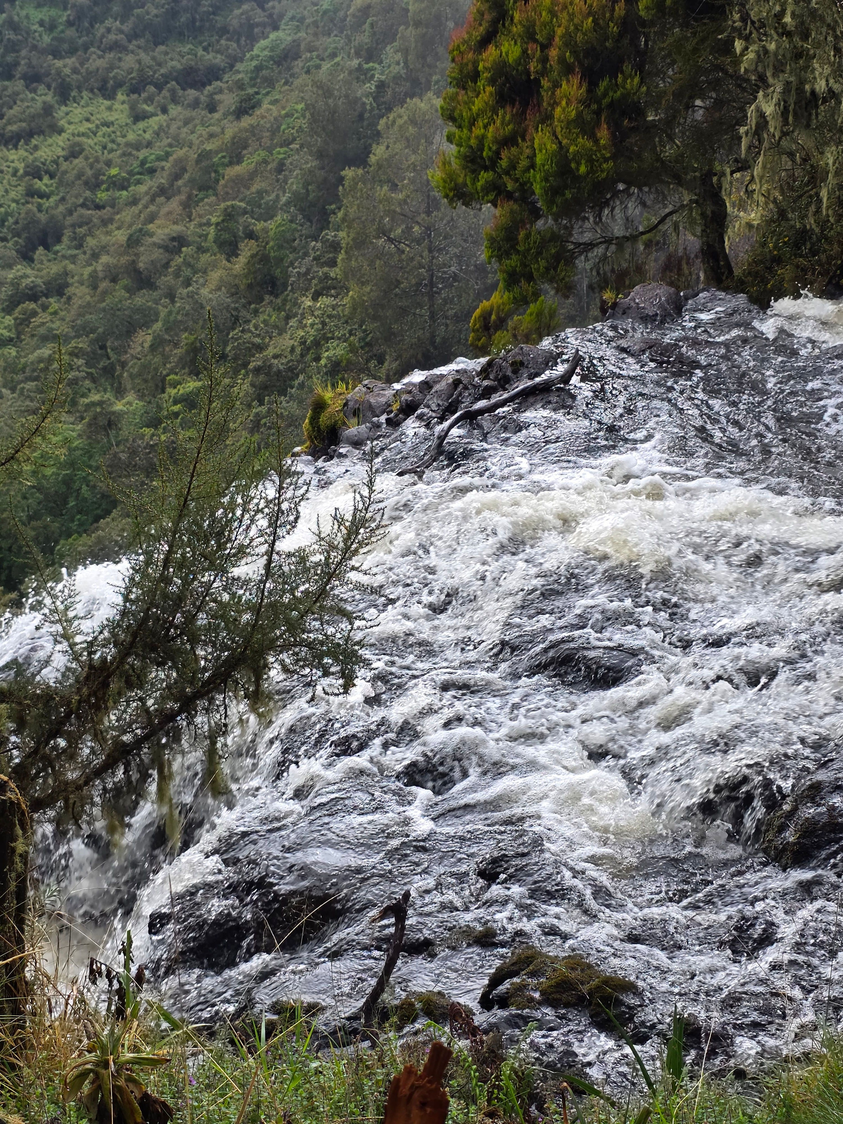 Detox Tour Experience